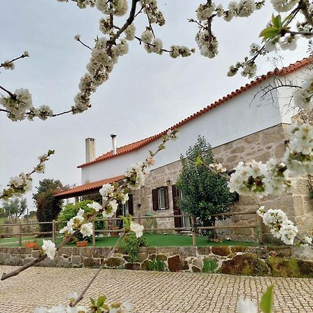 Villa A Casa Do Soito à Oliveira do Hospital Extérieur photo