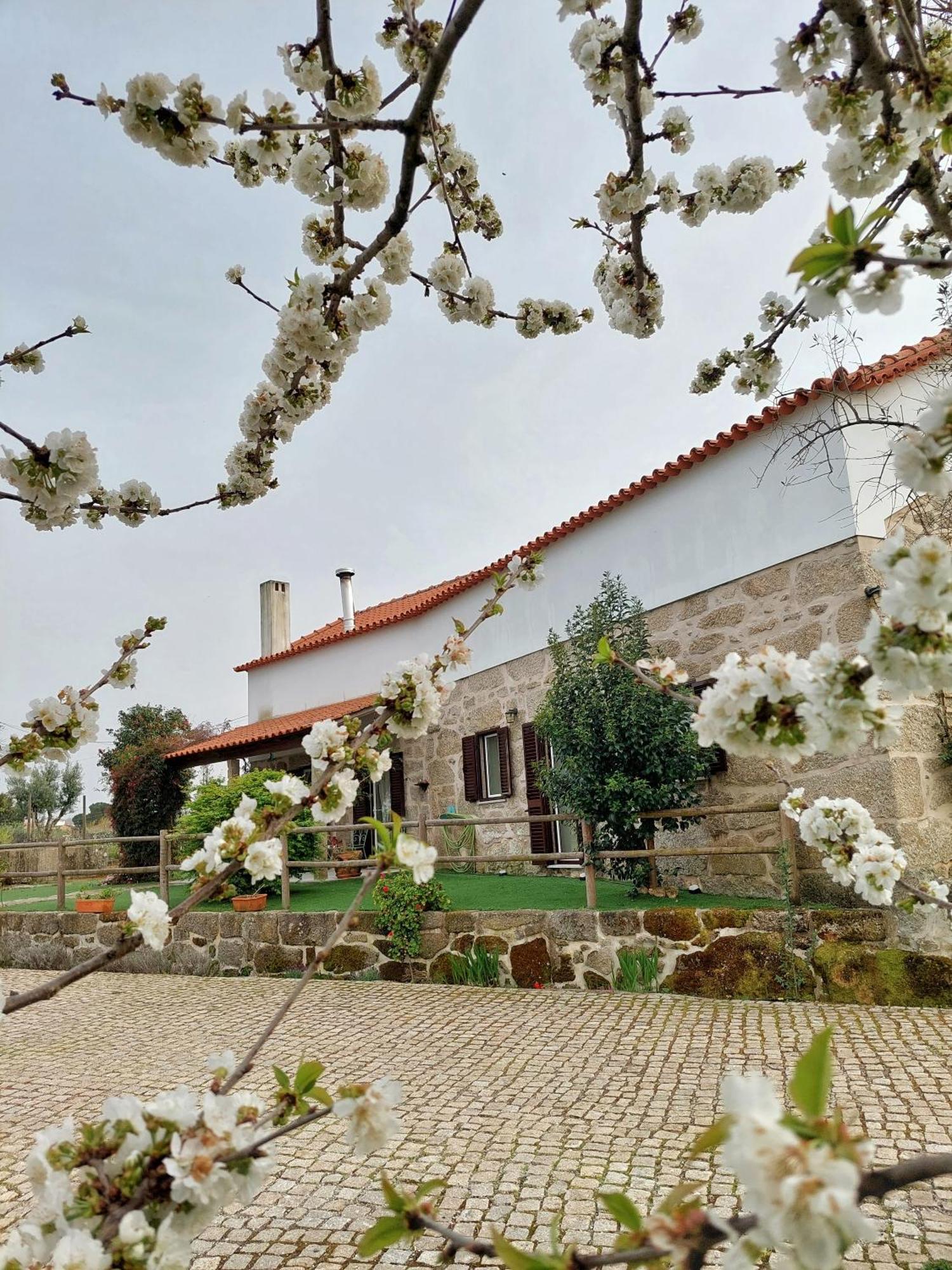 Villa A Casa Do Soito à Oliveira do Hospital Extérieur photo